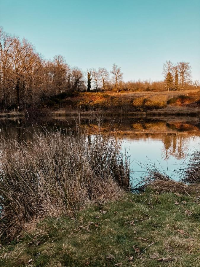 La Ferme Du Pont De Maumy, Cabane Au Bord De L'Etang Et Bain Nordique Busserolles Buitenkant foto