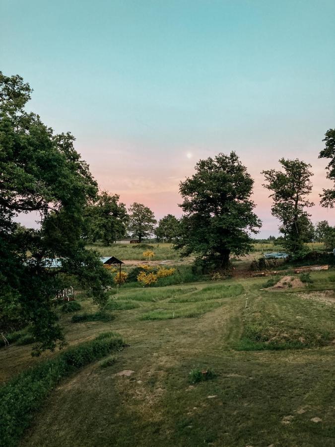 La Ferme Du Pont De Maumy, Cabane Au Bord De L'Etang Et Bain Nordique Busserolles Buitenkant foto