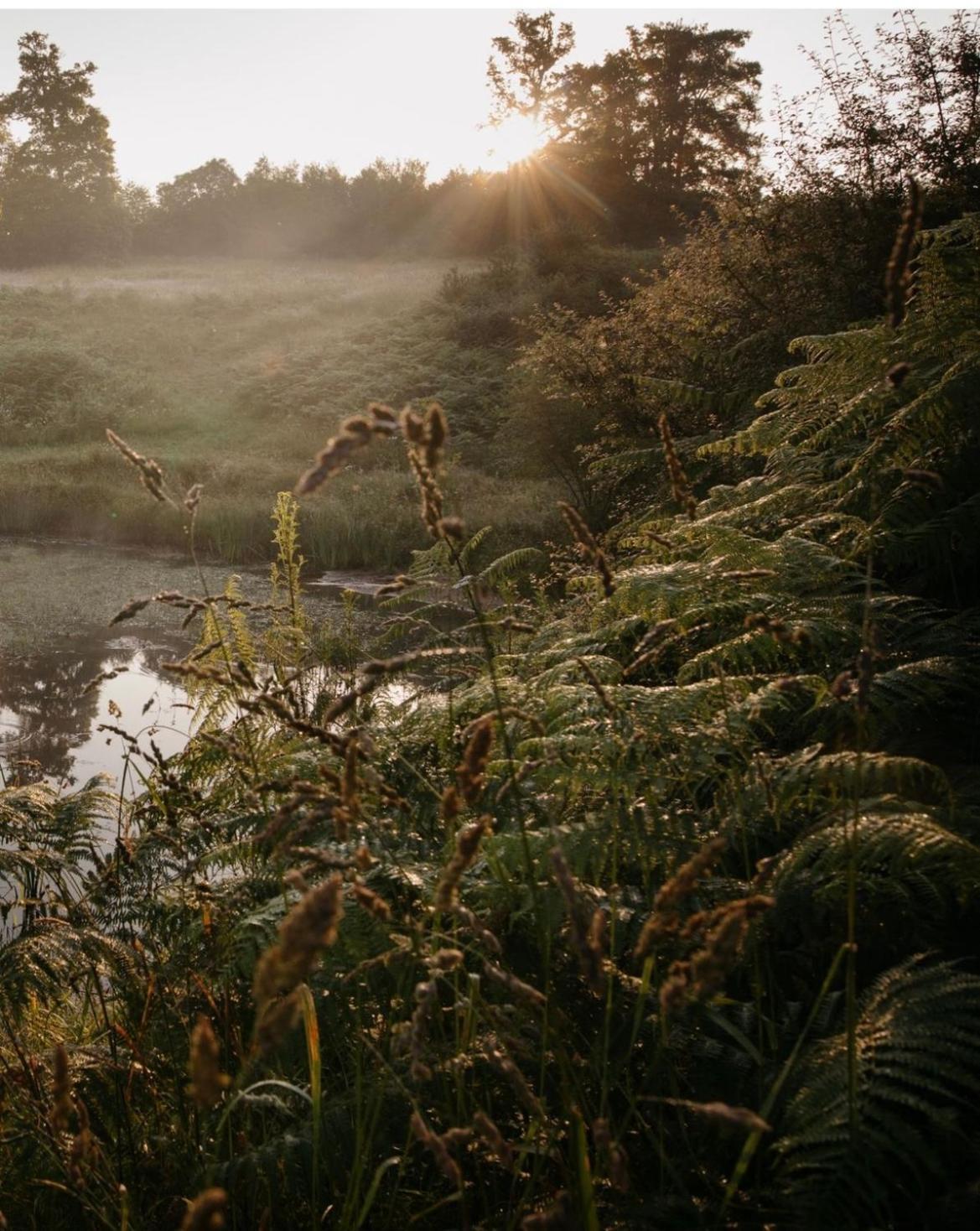 La Ferme Du Pont De Maumy, Cabane Au Bord De L'Etang Et Bain Nordique Busserolles Buitenkant foto