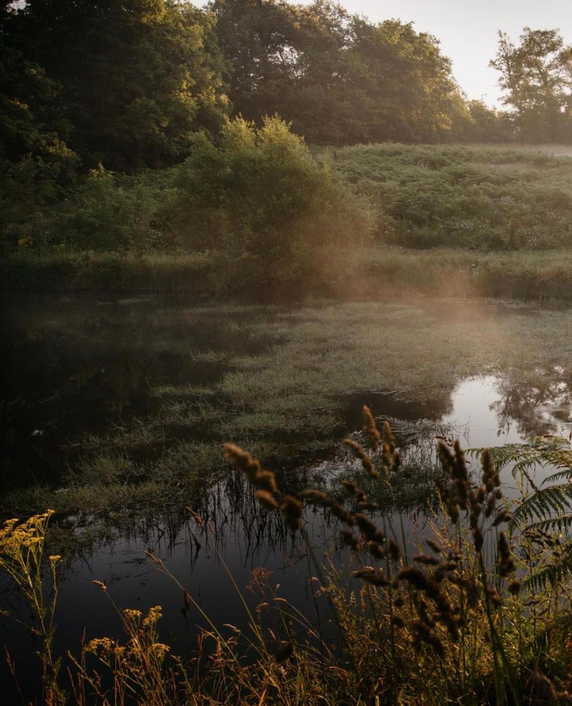 La Ferme Du Pont De Maumy, Cabane Au Bord De L'Etang Et Bain Nordique Busserolles Buitenkant foto